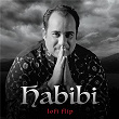 Habibi (Lofi Flip) | Rahat Fateh Ali Khan
