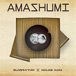 Amashumi | Blaqrhythm