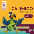 Calimigo Sommerhits Vol. 1 | Familie Sonntag