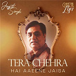 Tera Chehra Hai Aaeene Jaisa (Ghazal Lofi) | Jagjit Singh