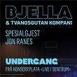 Undergang (Live i sentrum) | Stein Torleif Bjella