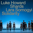 Solidarity | Luke Howard