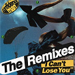 I CAN'T LOSE YOU (THE REMIXES) | Confidence Man