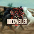 Rockweiler 2025 | Bikken