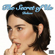 The Secret of Us (Deluxe) | Gracie Abrams