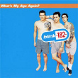 What's My Age Again? | Blink 182