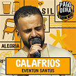 Calafrios | Pagodeira