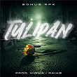 TULIPAN | Bonus Rpk