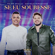 Se Eu Soubesse (Ao Vivo) | Felipe Araújo