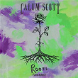 Roots (Seeb Remix) | Calum Scott