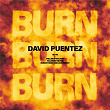 Burn | David Puentez