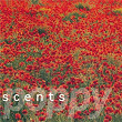 Poppy (EP) | Scents