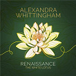 Renaissance (Main Theme from "The White Lotus, Series 2") (Arr. Metcalfe for Guitar, String Quintet & Percussion) | Alexandra Whittingham