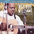 The Sonet Blues Story | Big Joe Williams