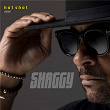 Angel (Hot Shot 2020) | Shaggy