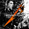 Moth Into Flame (Live) | Metallica