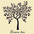Lemon Tree | Jemme
