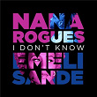I Don't Know | Nana Rogues