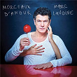 Best Of - Morceaux d'amour | Marc Lavoine