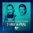 3 Tage in Prag | Dj Herzbeat