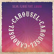 Carousel | Selva