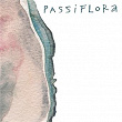 Passiflora | Capicua