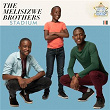 Stadium | The Melisizwe Brothers