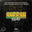 Sheesh (Remix) | Brray