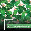 Watu Wamegawanya | Patrick Balisidya