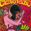 Caetano Veloso | Caetano Veloso