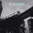 Collected: 1996-2005 | The Wallflowers