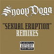 Sexual Eruption Remixes | Snoop Dogg