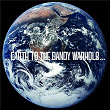 Earth to the Dandy Warhols | The Dandy Warhols