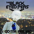 I Gotta Feeling | The Black Eyed Peas