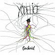 Cardioid | Yodelice