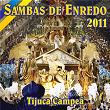 Sambas Enredo Das Escolas De Samba 2011 | Bruno Ribas