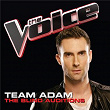 Team Adam – The Blind Auditions (The Voice Performances) | Angela Wolff