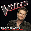 Team Blake – The Blind Auditions (The Voice Performances) | Dia Frampton
