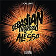 Calling (Original Instrumental Mix) | Sebastian Ingrosso