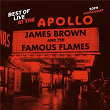 Best Of Live At The Apollo: 50th Anniversary | James Brown