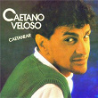 Caetanear | Caetano Veloso
