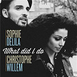 What Did I Do | Sophie Delila