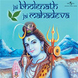 Jai Bholenath Jai Mahadeva | Anup Jalota