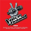 The Voice of Finland 2013 (Live 5) | Eve Hotti