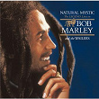 Natural Mystic | Bob Marley & The Wailers