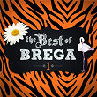 The Best Of Brega - Vol. 1 | Evaldo Braga