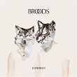 Evergreen | Broods