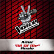 All Of Me - The Voice 3 | Amir