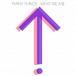 What We Are | Many Things