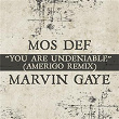 You Are Undeniable (Amerigo Remix) | Mos Def